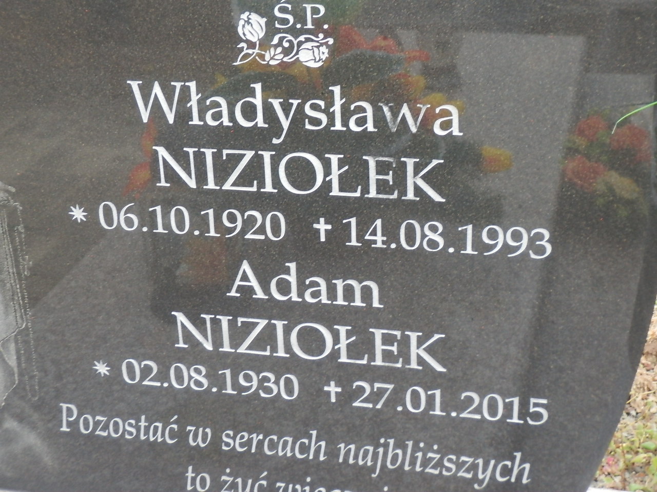 Adam Niziołek 1930 Jasło Gmina - Grobonet - Wyszukiwarka osób pochowanych