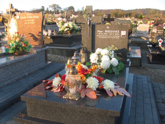 Grób Władysław Niegosz