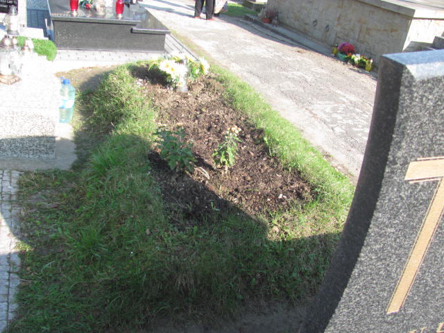 Franciszek Pis Jasło Gmina - Grobonet - Wyszukiwarka osób pochowanych