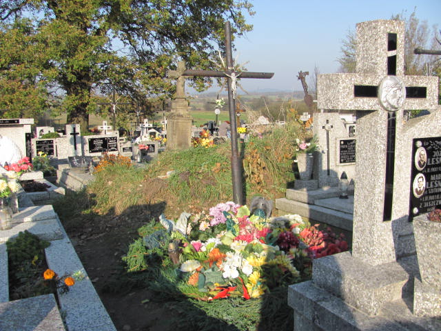 Grób Zdzisław Wiśniowski