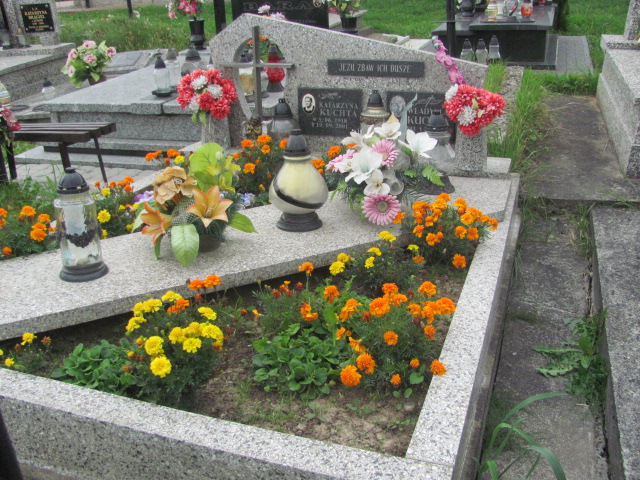 Grób Władysław Kuchta